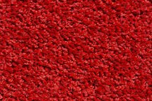 Future schoonloopmat [+ kleuren]