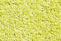 Future schoonloopmat [+ kleuren]