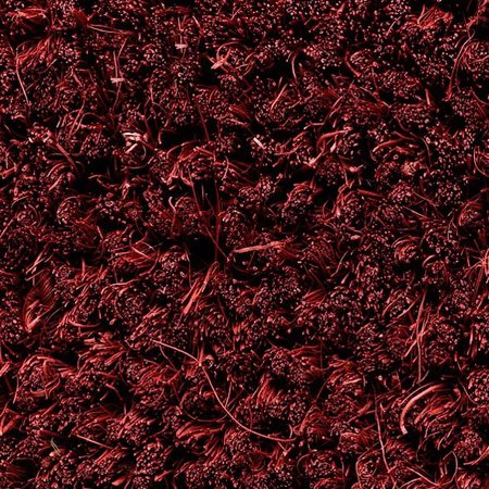 Kokosmat -Original 18 mm + kleuren ( per CM)