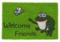 Design welcome friends Frog